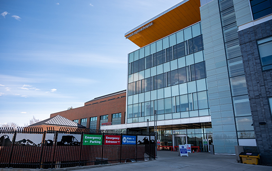 必赢亚洲·bwin(中国区)官方网站